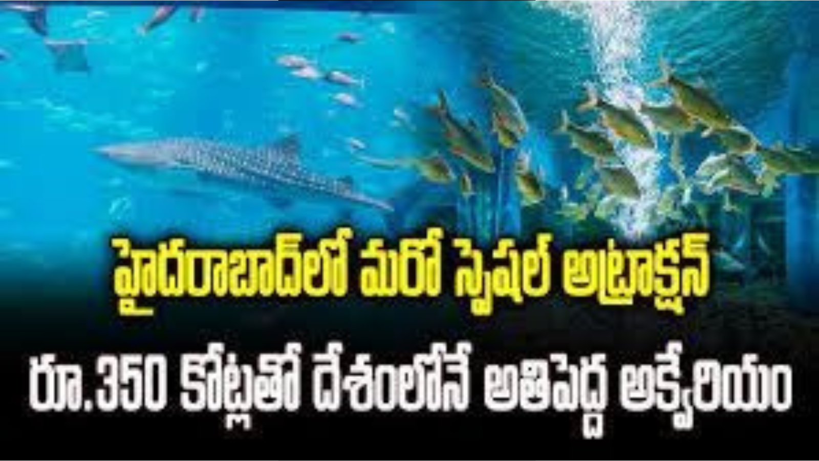 Hyderabad to Get India’s Largest Aquarium